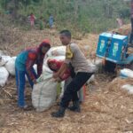 Bhabinkamtibmas Desa Rababaka Aktif Sambang dan Bantu Warga Panen Jagung, Perkuat Kamtibmas