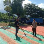 Bhabinkamtibmas Desa Nangakara Lakukan Pemantauan Panen Jagung, Dukung Program Ketahanan Pangan