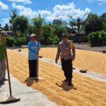 Semangat Ketahanan Pangan, Bhabinkamtibmas Tolokalo Beri Motivasi Petani