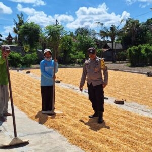 Semangat Ketahanan Pangan, Bhabinkamtibmas Tolokalo Beri Motivasi Petani