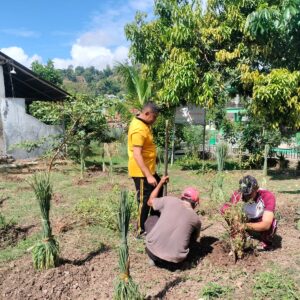Polsek Wawo Manfaatkan Lahan Kosong untuk Penanaman Hortikultura P2L