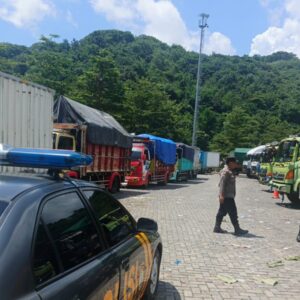 Pengiriman Sapi dari Lombok ke Jawa Lancar, Polisi Pastikan Antrean di Pelabuhan Lembar Kini Nihil