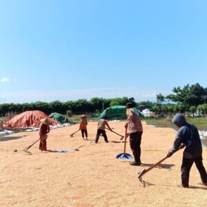 Polri Hadir di Tengah Petani, Dorong Produktivitas Jagung di Dompu