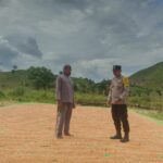 Dukung Program Pemerintah, Bhabinkamtibmas Ajak Petani Jual Jagung ke Bulog