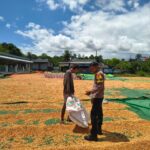 Pantau Penjemuran Jagung Warga, Bhabinkamtibmas Kadindi Barat Dukung Ketahanan Pangan Nasional