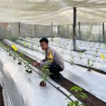 Bhabinkamtibmas Desa Kumbang Intensifkan Silaturahmi dan Monitoring Ketahanan Pangan