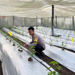 Bhabinkamtibmas Desa Kumbang Intensifkan Silaturahmi dan Monitoring Ketahanan Pangan