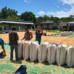 Bhabinkamtibmas Polsek Pekat Pantau Penjemuran Jagung Warga, Dorong Distribusi ke Bulog