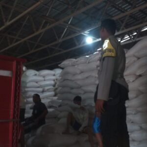 Polri Kawal Ketat 19 Ton Jagung Mareje ke Bulog, Pastikan Petani Sejahtera!