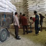 Kawal Ketahanan Pangan, Bhabinkamtibmas Polres Lombok Barat Pastikan Puluhan Ton Jagung Petani Tembus Gudang Bulog