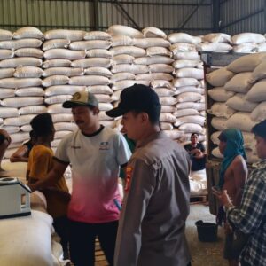 Langkah Strategis Amankan Pangan, Puluhan Ton Jagung Hasil Panen Lombok Barat Resmi Masuk Bulog