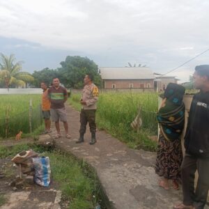 BHABINKAMTIBMAS POLSEK WOJA DUKUNG KETAHANAN PANGAN WARGA MELALUI PEMANTAUAN LAHAN PADI