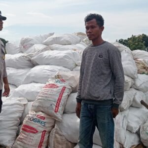 BHABINKAMTIBMAS POLSEK PEKAT PANTAU PANEN JAGUNG, DUKUNG KETAHANAN PANGAN