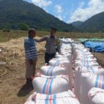 Bhabinkamtibmas Desa Tatar Dampingi Petani Panen Jagung, Wujud Nyata Dukungan Polri terhadap Ketahanan Pangan