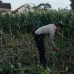 Program Ketahanan Pangan Polsek Labuapi Sasar Pekarangan