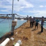 Kapolsek Sambelia Cek TKP Dugaan Pencurian di Tambak Udang Desa Dara Kunci