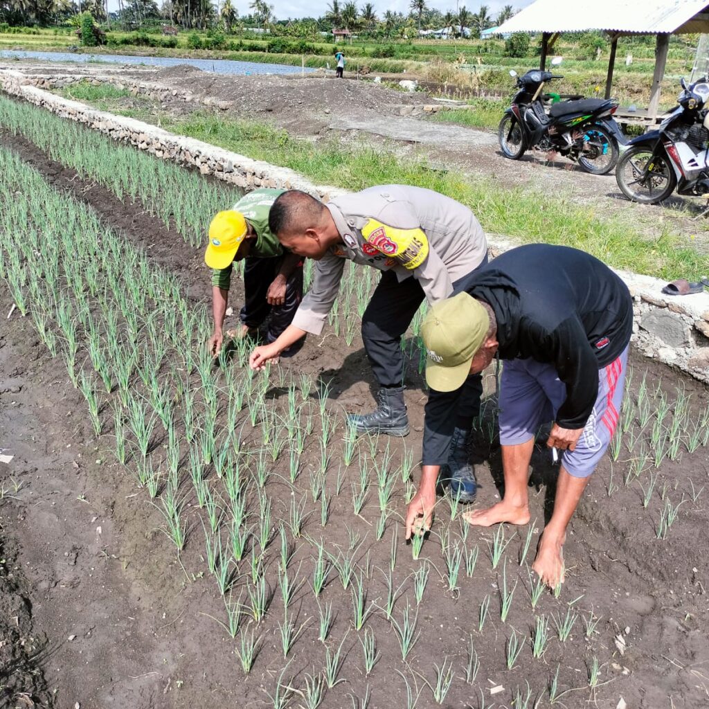 Kapolsek Sambelia Cek TKP Dugaan Pencurian di Tambak Udang Desa Dara Kunci