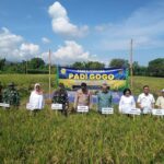 Sinergi Petani dan Aparat Dukung Ketahanan Pangan Lombok Utara