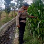 Strategi Bhabinkamtibmas di Lombok Barat Pacu Produktivitas Desa demi Ketahanan Pangan Nasional
