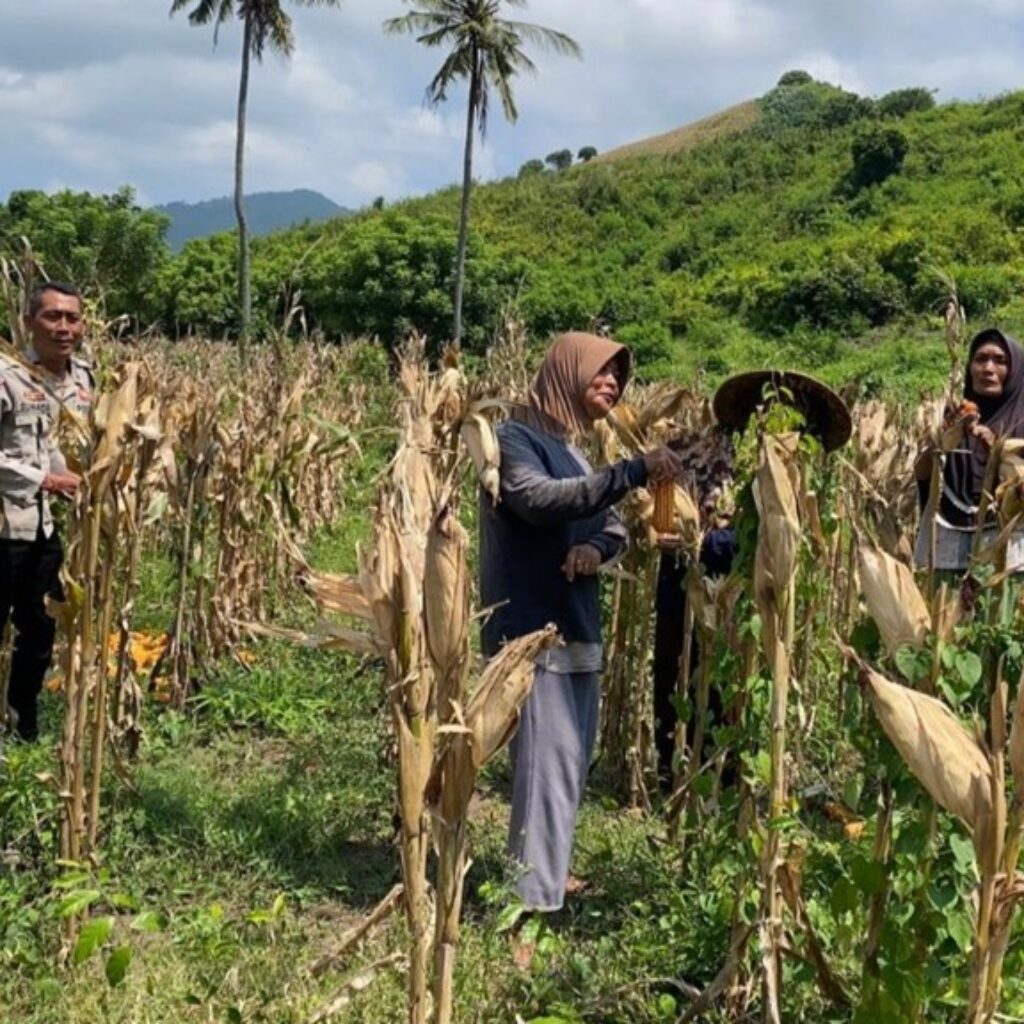 Polsek Sekotong Jaga Ketahanan Pangan di Batu Putih