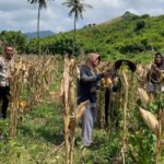 Polsek Sekotong Jaga Ketahanan Pangan di Batu Putih