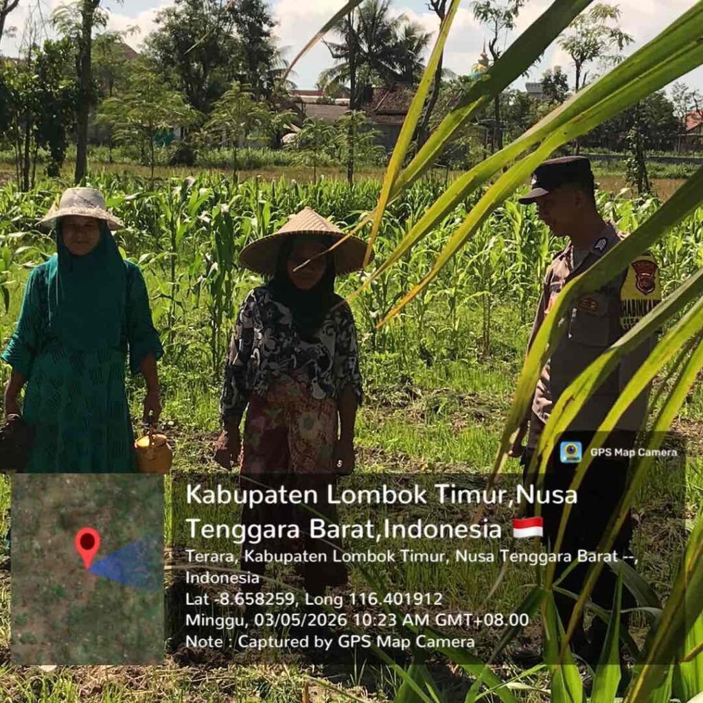 Bhabinkamtibmas Desa Selagik Cek Lahan Jagung Warga, Dukung Ketahanan Pangan