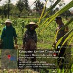 Bhabinkamtibmas Desa Selagik Cek Lahan Jagung Warga, Dukung Ketahanan Pangan