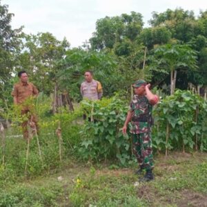 Sinergi TNI-Polri Kawal Ketahanan Pangan di Lombok Barat