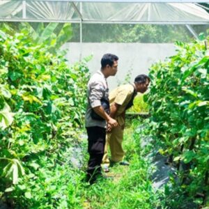 Bhabinkamtibmas Desa Bengkel Kawal Ketahanan Pangan