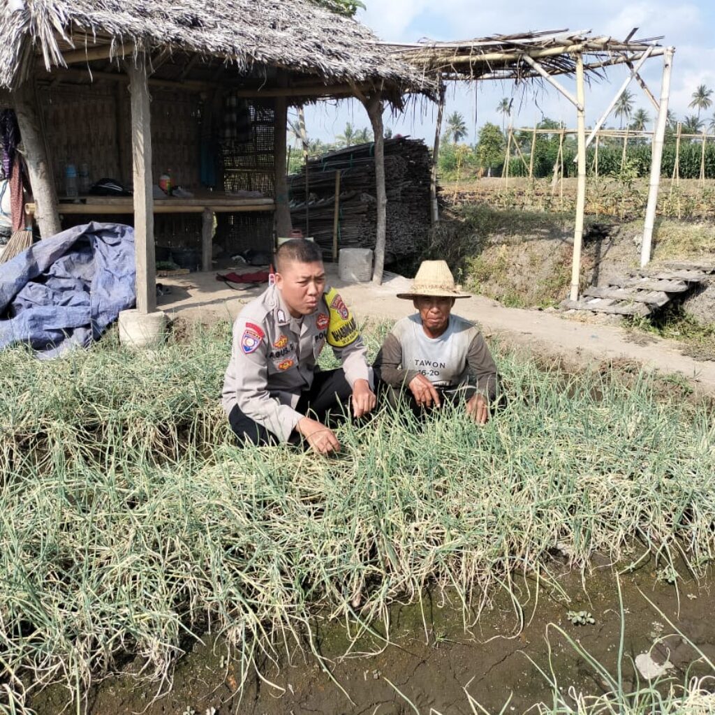 Bhabinkamtibmas Desa Bagik Papan Intensifkan Silaturahmi dan Cek Tanaman Bawang Merah Warga