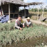 Bhabinkamtibmas Desa Bagik Papan Intensifkan Silaturahmi dan Cek Tanaman Bawang Merah Warga