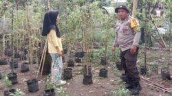 Bhabinkamtibmas Bagik Polak Barat Perkuat Ketahanan Pangan