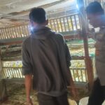 Kemandirian Pangan Desa Beleke: Sinergi Bhabinkamtibmas dan Peternak Lokal demi Stabilitas Ekonomi