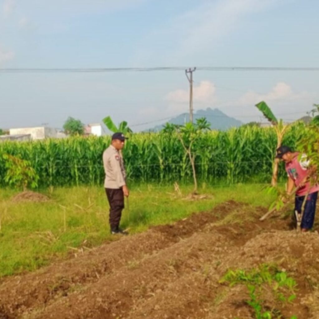 Polisi Dampingi Petani Labuapi Garap Lahan Pangan
