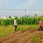 Polisi Dampingi Petani Labuapi Garap Lahan Pangan