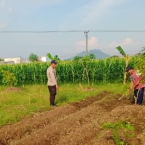 Polisi Dampingi Petani Labuapi Garap Lahan Pangan