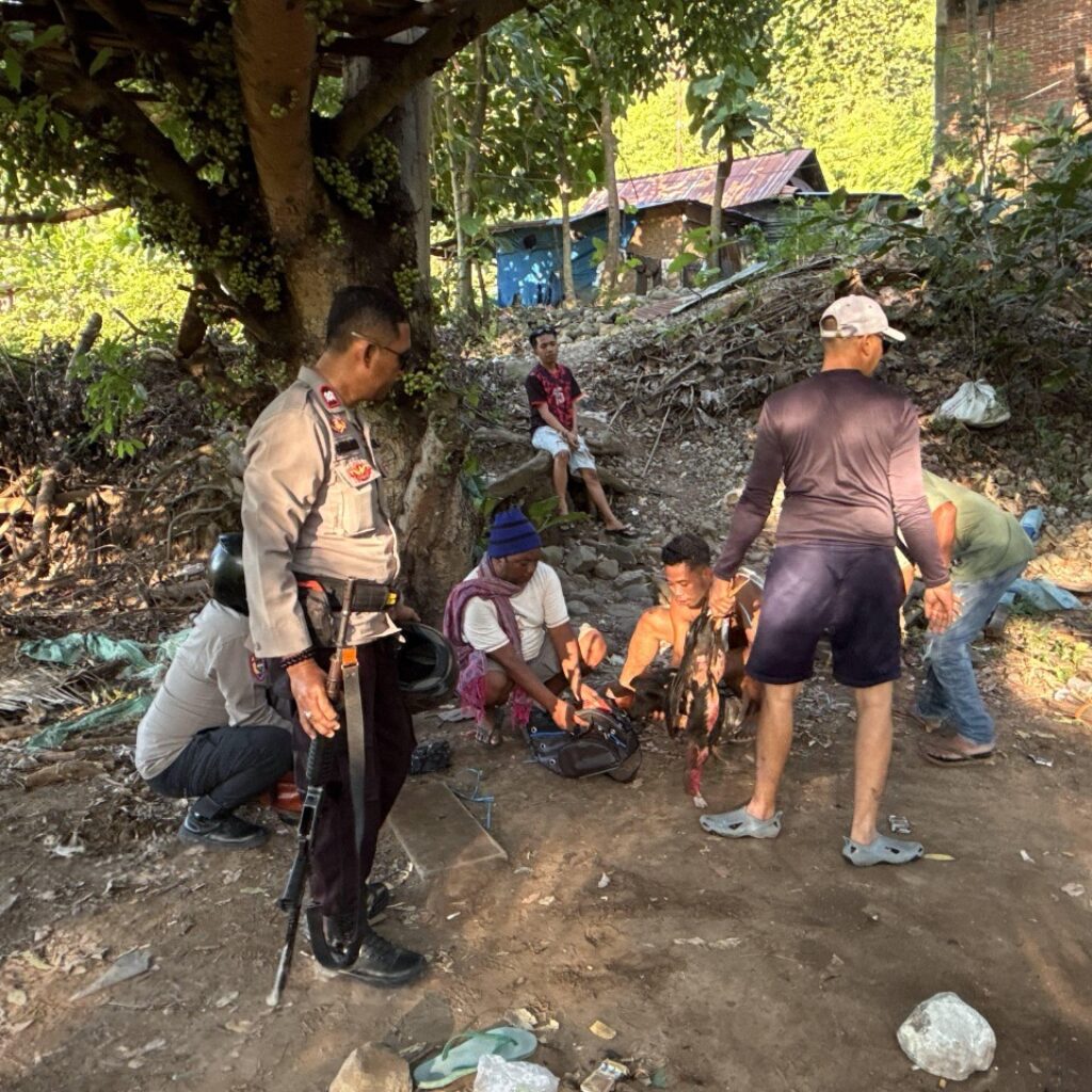 Respon Cepat Laporan Warga, Polsek Lab Badas Bubarkan Aktivitas Judi Sabung Ayam