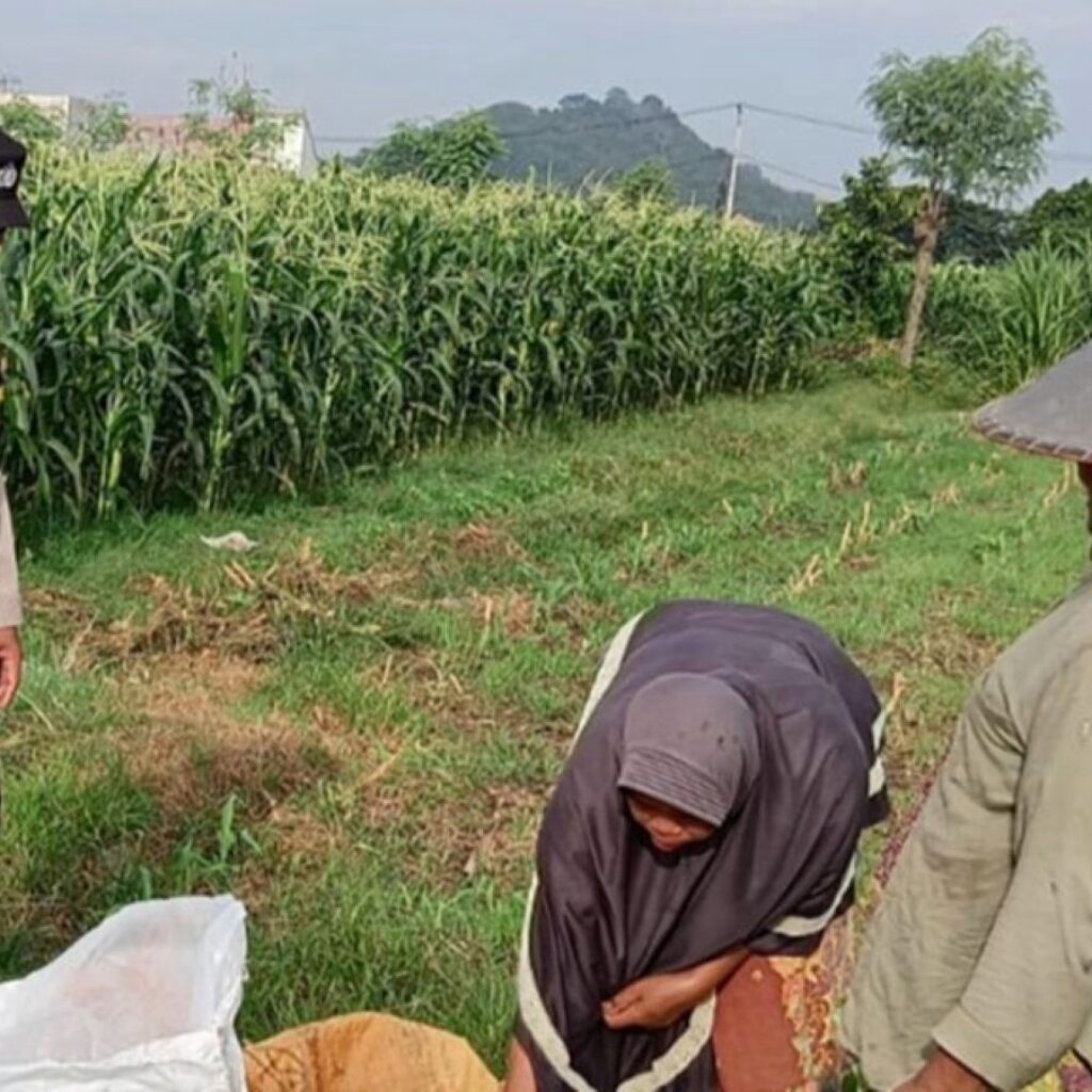 Bhabinkamtibmas Desa Karang Bongkot Kawal Swasembada Pangan di Labuapi