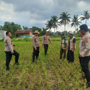 Waka Polres Lombok Tengah Mengecek Lahan Jagung di Dusun Arjangka Kecamatan Pringgarata
