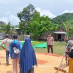 Bhabinkamtibmas Desa Adu Pantau Penjemuran Jagung Warga, Dorong Distribusi ke Bulog