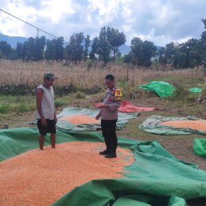 Bantu Aktivitas Petani di Desa Binaan, Upaya Bhabinkamtibmas Polsek Donggo Sukseskan Program Ketahanan Pangan Nasional
