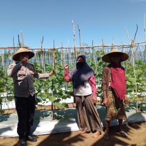 Dukung Ketahanan Pangan, Bhabinkamtibmas desa tatar dampingi warga binaan kelola Lahan Produktif