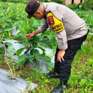 Dukung Program Asta Cita, Bhabinkamtibmas Monitoring Ketahanan Pangan Warga Binaan