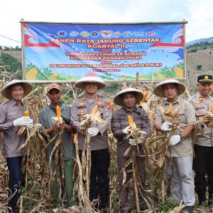 Kapolres Bima Kota Laksanakan Panen Raya Serentak Kuartal II Dukung Swasembada Pangan 2026