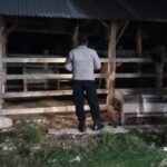 Cegah Kriminalitas, Polsek Sekotong Sisir Kandang Sapi Warga