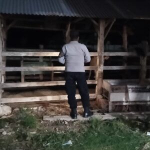 Cegah Kriminalitas, Polsek Sekotong Sisir Kandang Sapi Warga