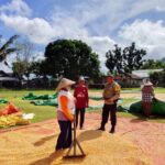 BHABINKAMTIBMAS DESA SAWE MONITORING HASIL PANEN JAGUNG WARGA DI KECAMATAN HU’U