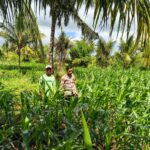 BHABINKAMTIBMAS POLSEK PEKAT MONITORING LAHAN JAGUNG WARGA DUKUNG KETAHANAN PANGAN NASIONAL