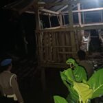 Warga Lembar Bisa Tidur Nyenyak, Polsek Lembar Jaga Ketat Kandang Ternak dari Incaran Maling Malam Hari