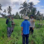 BHABINKAMTIBMAS POLSEK PEKAT AJAK PETANI DUKUNG PROGRAM KETAHANAN PANGAN
